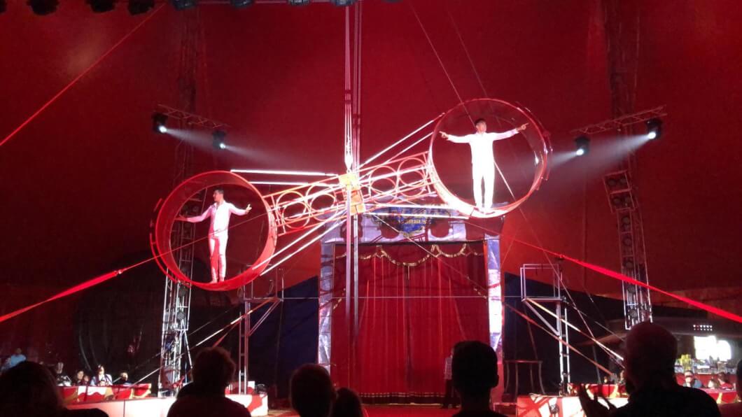 CIRCUS International in Oradea