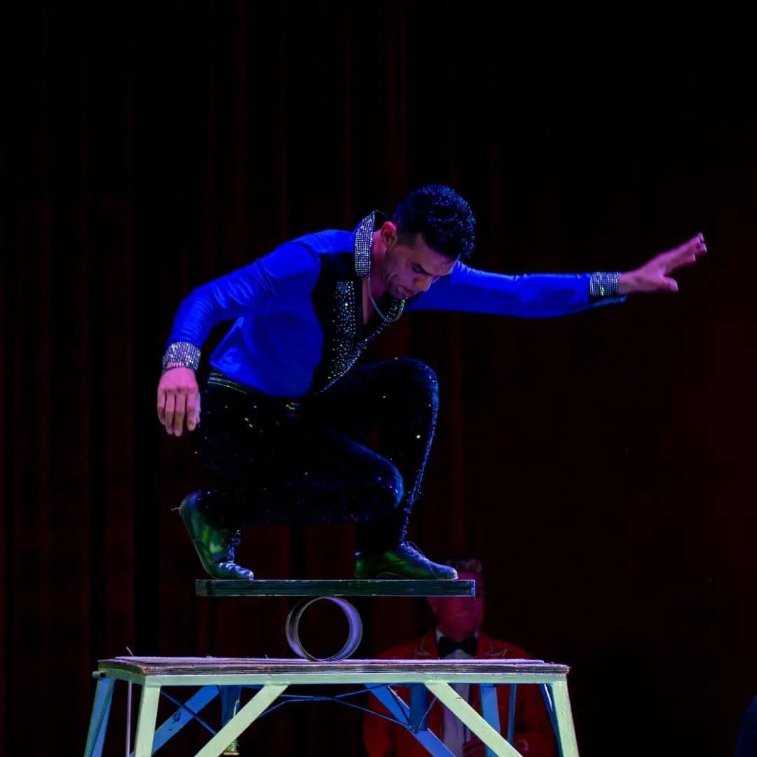 CIRCUS International in Oradea