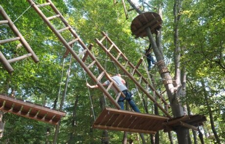 Adventure on high and zip lines in Cluj