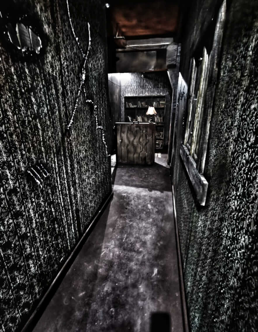 Azil Escape House Baia Mare