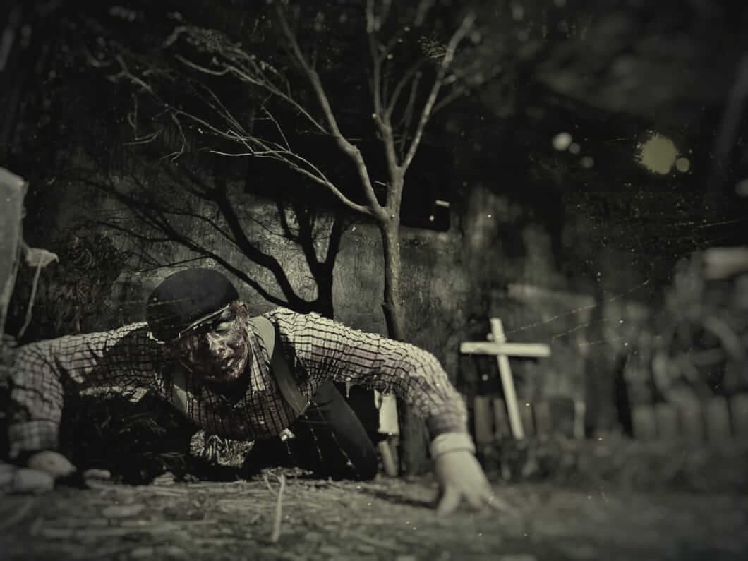 Azil Escape House Baia Mare