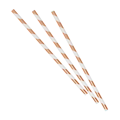 Rose Gold Paper Straws