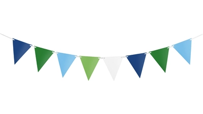 Blue Green Bunting