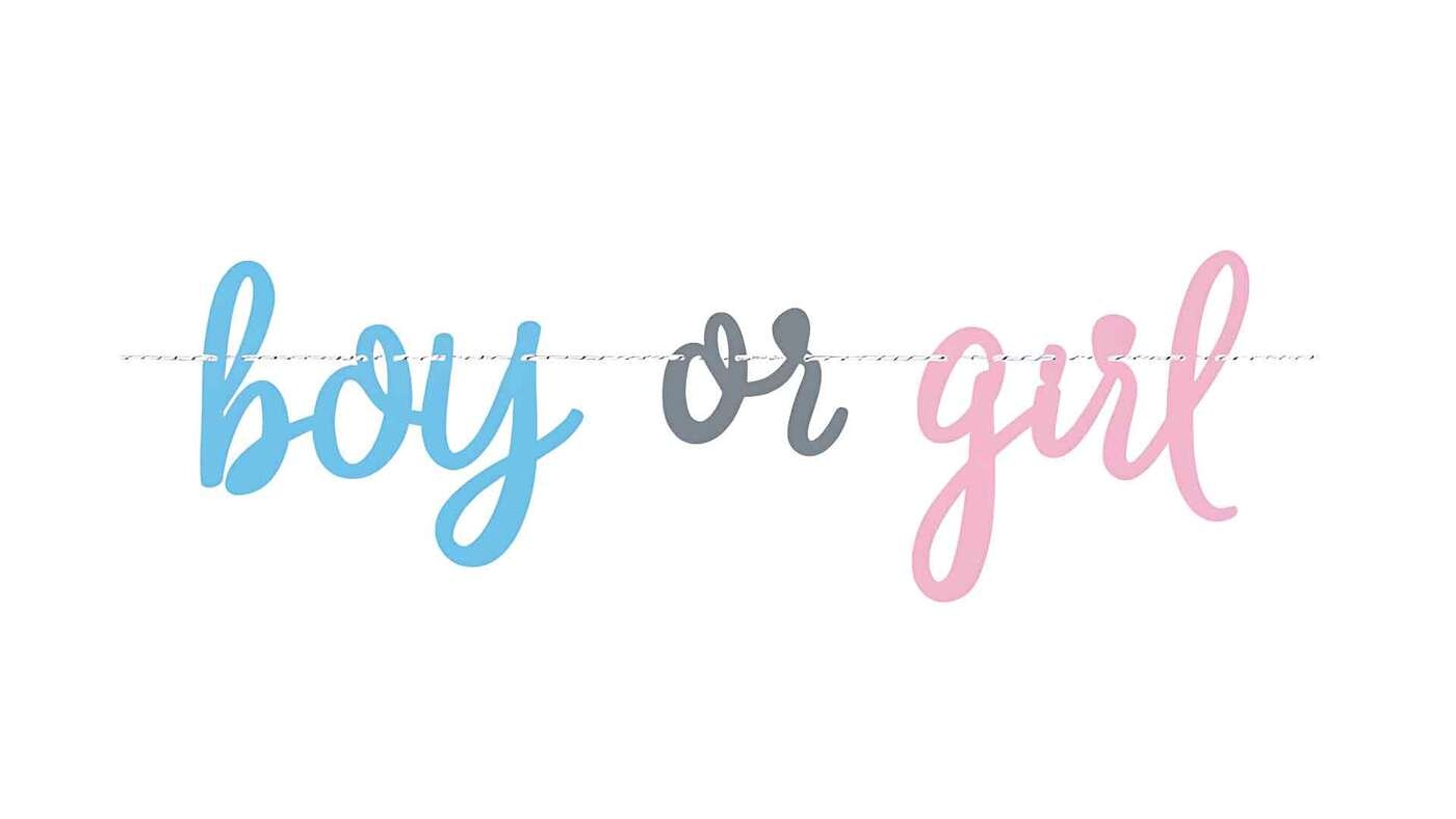 Gender Reveal Banner