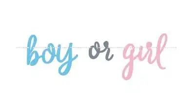 Gender Reveal Banner
