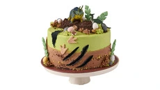 Dinosaur Vanilla Cake