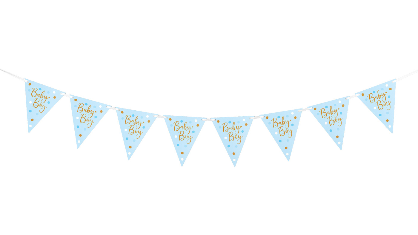 Boy Baby Bunting