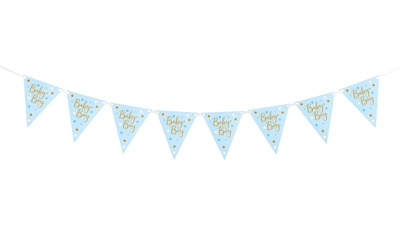 Boy Baby Bunting