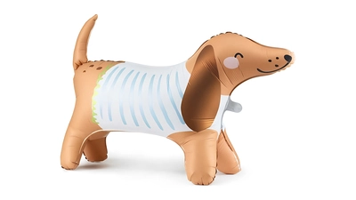 Balloon Dachshund