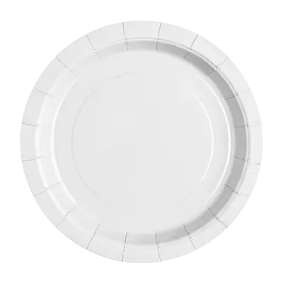 Bright White Paper Plate