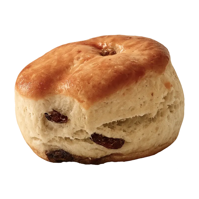 Fruit Scone 