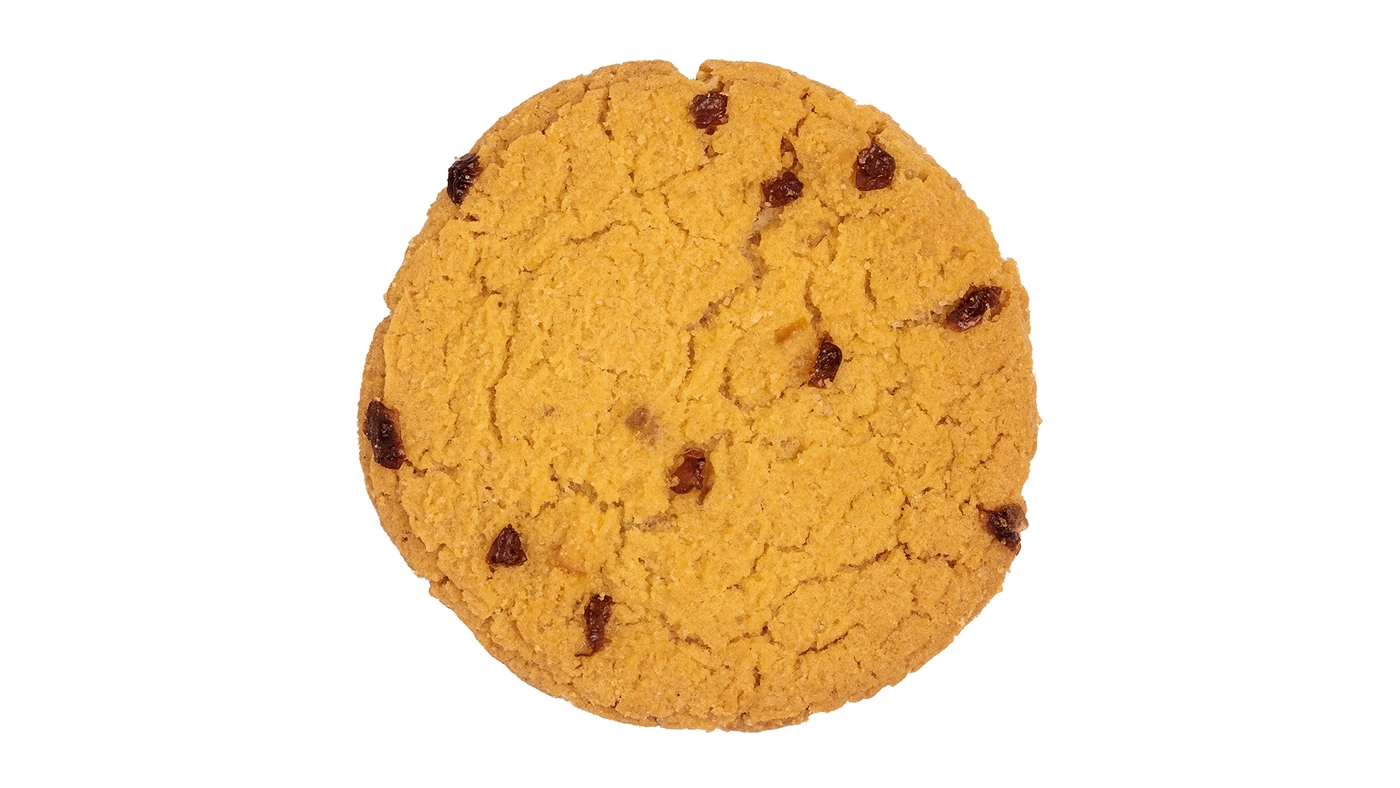Oatmeal Raisin Cookie