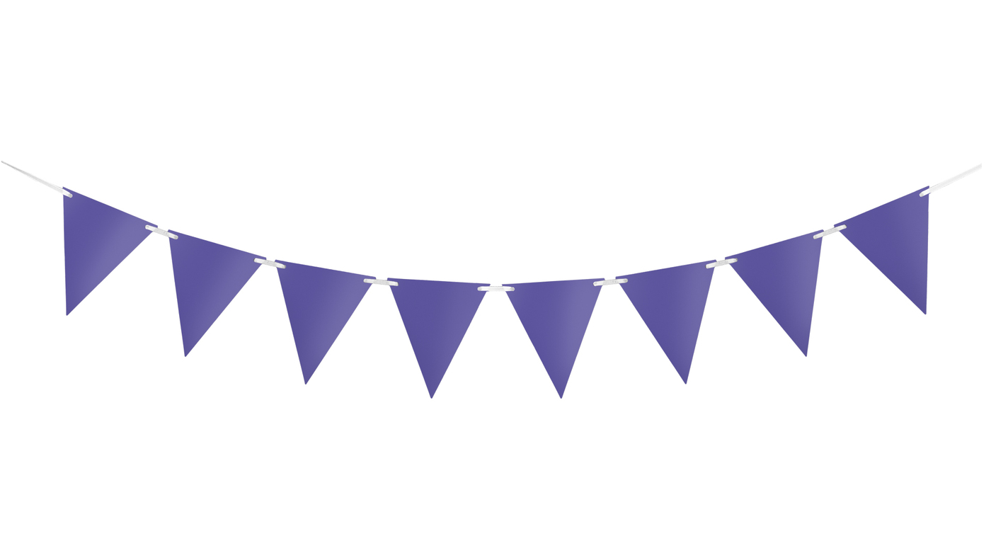 Purple Bunting 10m
