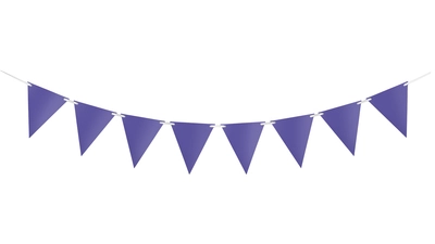 Purple Bunting 10m