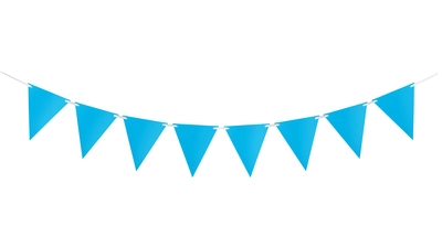 Blue Bunting 10m