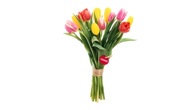 Spring Tulips