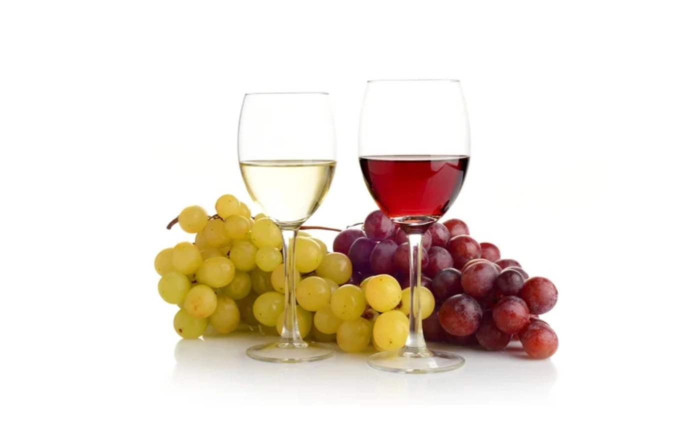 Wine Tasting Masterclass