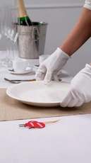 Professional Waiter