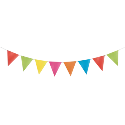 Multicolour Bunting 3m