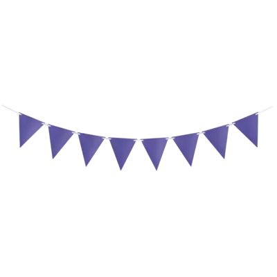 Purple Bunting