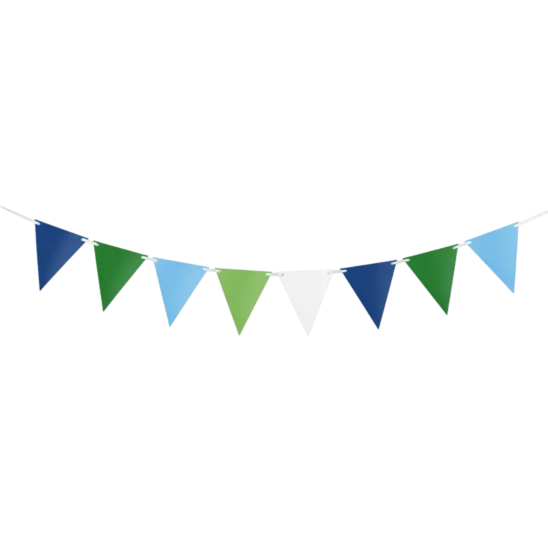 Blue Green Bunting 10m