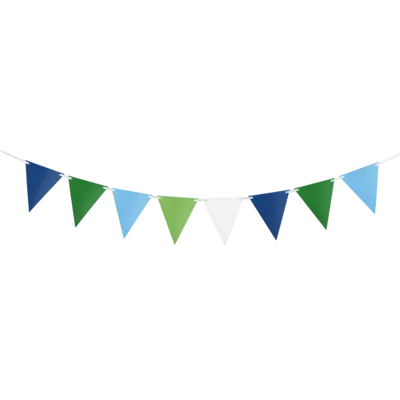 Blue Green Bunting