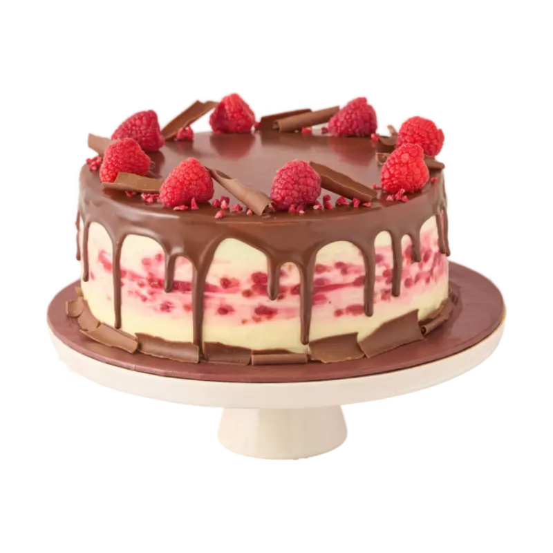 Gluten-Free Chocolate and Raspberry Cake