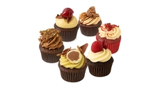 Chocolate Lovers Mini Cupcakes