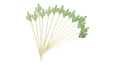 Cactus Sticks