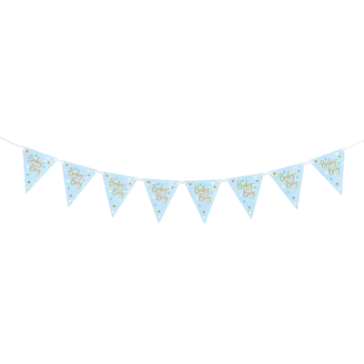 Boy Baby Bunting