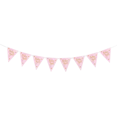 Girl Baby Bunting