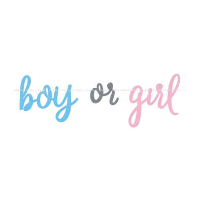 Gender Reveal Banner