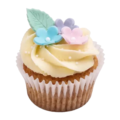Botanical Vanilla Cupcakes – Pack of 6