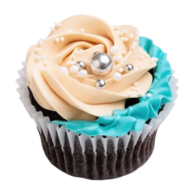 Colourburst Frosted Cupcakes – 6 pcs