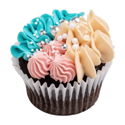Colourburst Frosted Cupcakes – 6 pcs
