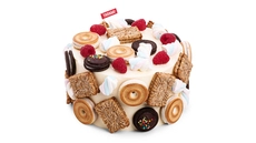 Berry Yogurt Cookie Carnival Cake – 10 Portions