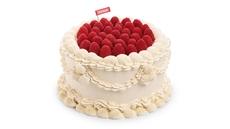 Raspberry & White Chocolate Dream – 10″ / 25 portions