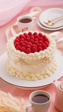 Raspberry & White Chocolate Dream – 10″ / 25 portions