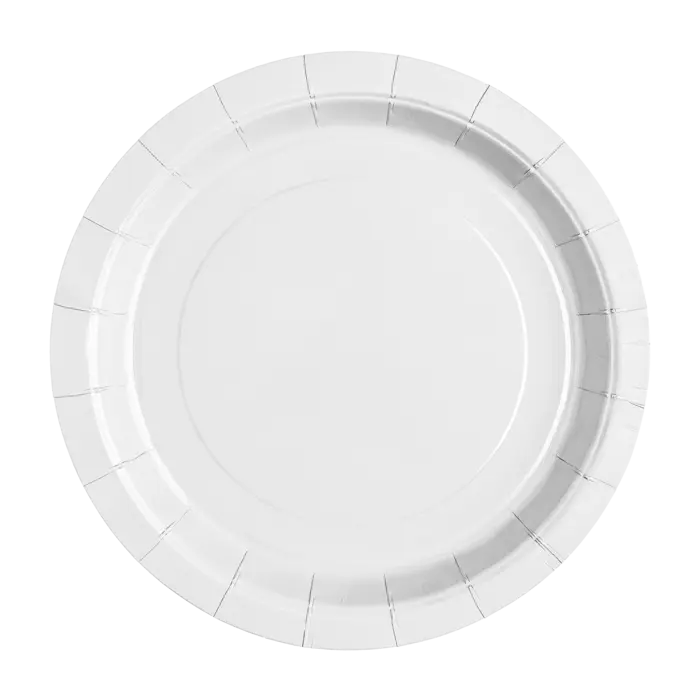 Bright White Paper Plate