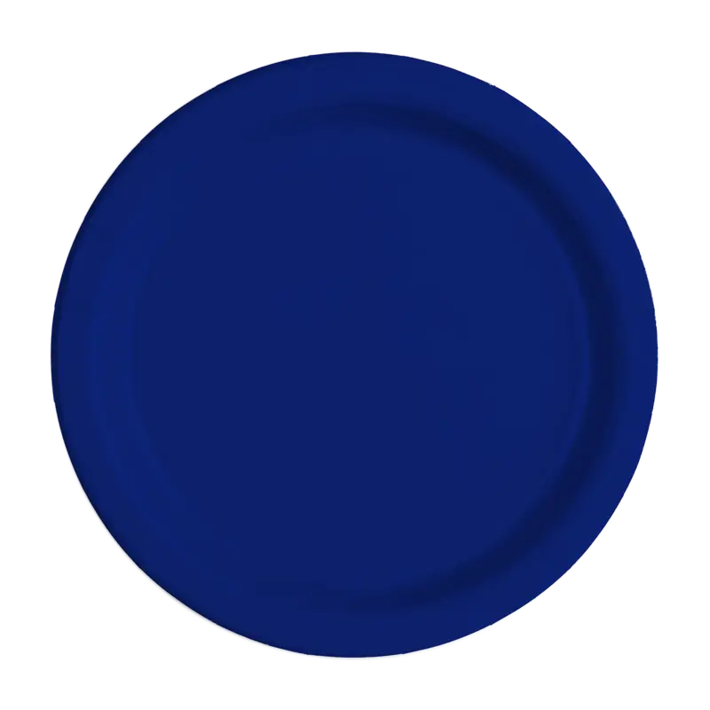 Navy Blue Plate