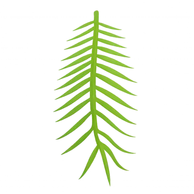 Tropical Leaf Banner 2 pcs