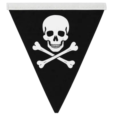 Pirate Banner Skull Flags
