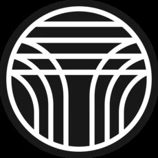 Anastasia Izyumskaya  avatar