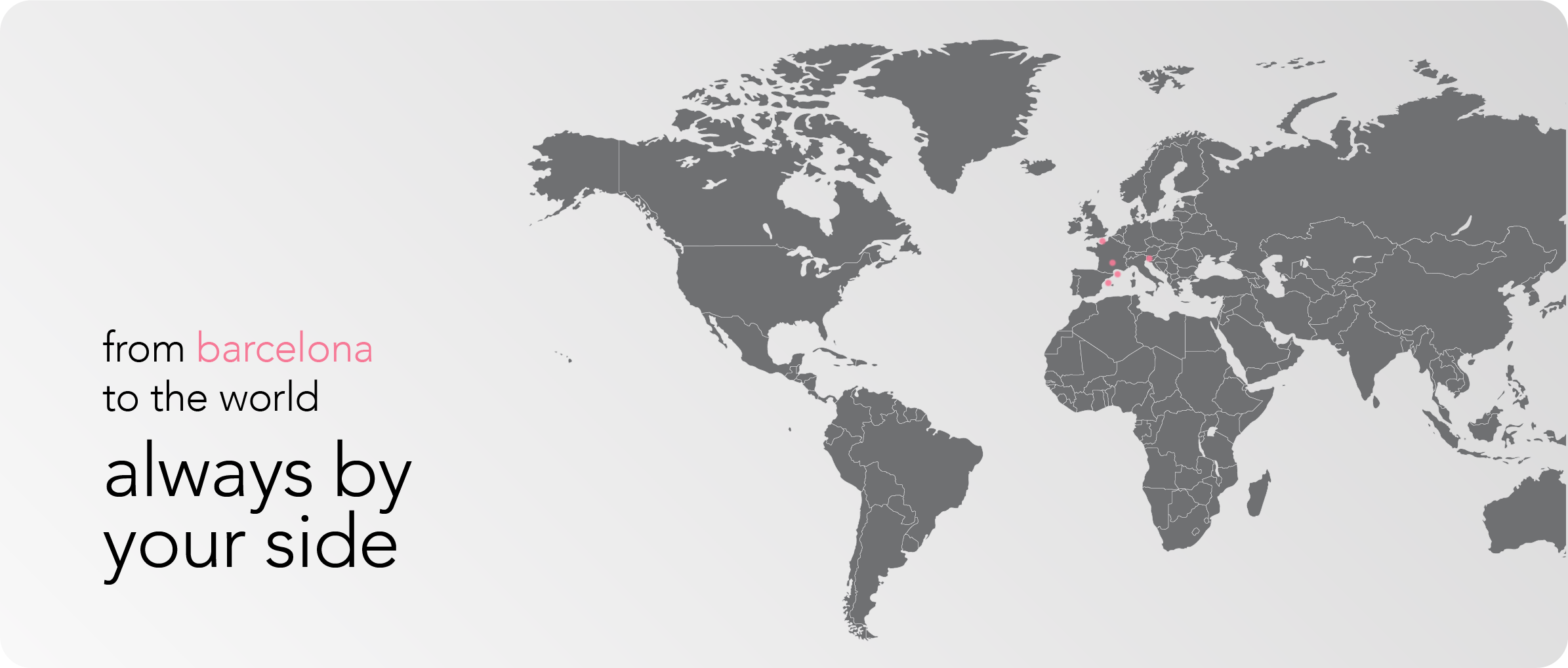 behind the scenes: how bnetwork became a global leader