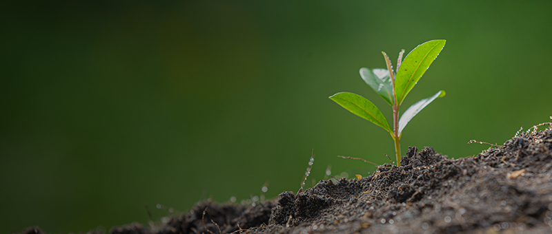 transforming the event industry through CSR