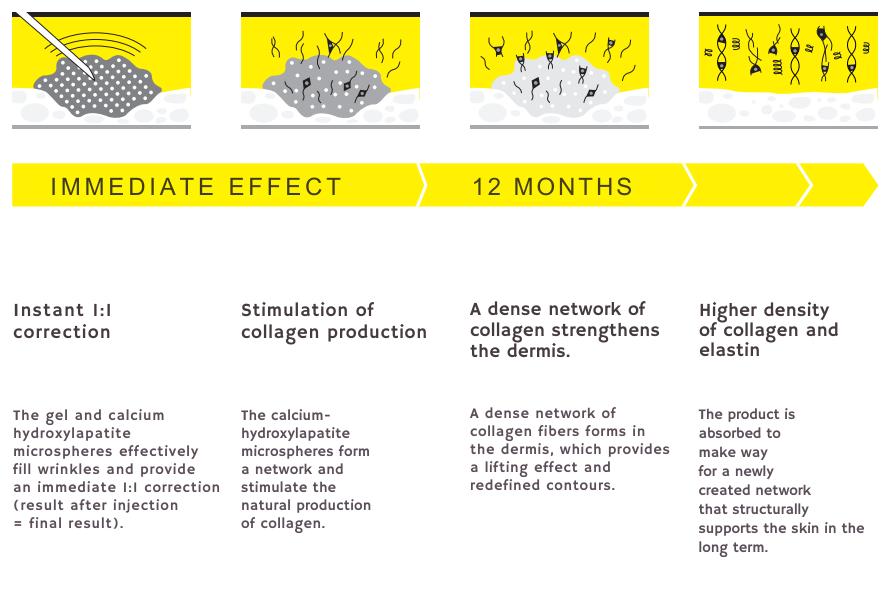 The Collagen Force