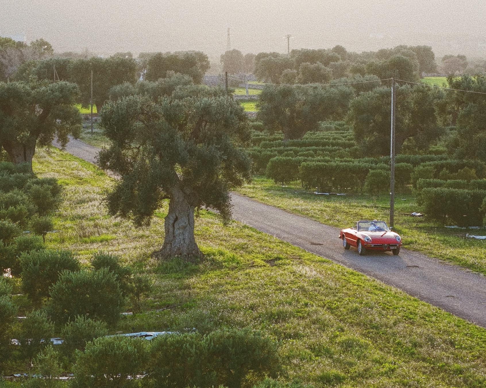 Injektionsbehandlung gegen Falten in Vettweiß bei GIOMEDICS® | Excellent Aesthetics