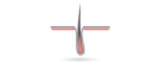 Dermatologie Muizen - Dr. K. Hellinckx