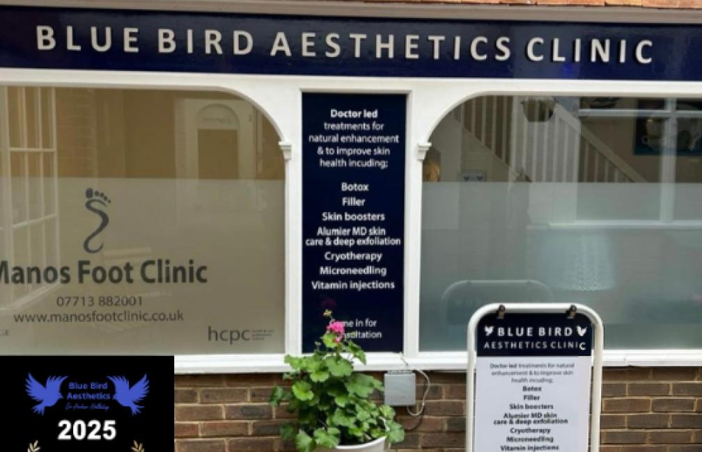 Blue Bird Aesthetics