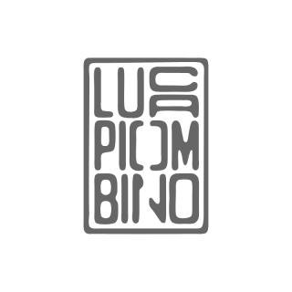 Dr Luca Piombino - Chirurgo Plastico, Ricostruttivo ed Estetico - Piombino